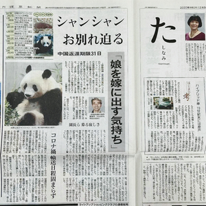 ☆【シャンシャン お別れ迫る】2020年12月8日 夕刊 読売新聞 記事 ☆／ ジャイアントパンダ・上野動物園・香香・中国返還