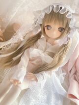 DDH-01 SW肌 カスタムヘッド＋碁石アイ＋着用お洋服 MDD_画像5