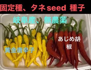 種子、タネ、seed、岐阜産、自家採種、無消毒、固定種、栽培無制限●黄金唐辛子種　20粒 ●味めこしょう種　20粒　　　