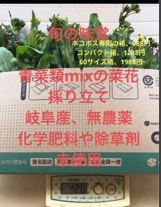 春の味覚、岐阜産、農薬や、化学肥料や除草剤未使用自然任せ栽培、固定種の青菜類mixの摘み菜花、400g〜梱包材込みネコポス専用箱