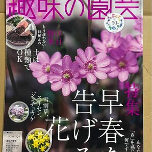 ＮＨＫ　趣味の園芸 ２０２４年１月号 （ＮＨＫ出版）