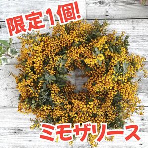 【現物お届け】ミモザのドライフラワーリース　玄関飾り　花飾り　壁掛けインテリア　生花　大きめ　30cm 本物　限定1個