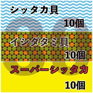 【各10匹 合計30匹】海水水槽コケ取り貝　3種セット　シッタカ　スーパーシッタカ　イシダタミ　★カワハギ釣り餌