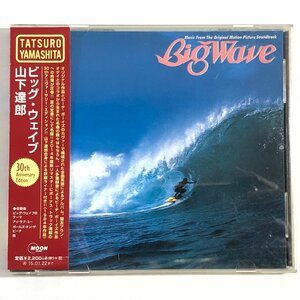 【CD】山下達郎 / ビッグウェイブ 30th ANNIVERSARY TATS YAMASHITA BIG WAVE / 全曲英語詞 ボーナストラック7曲 MOON WPCL-119309 ▲店