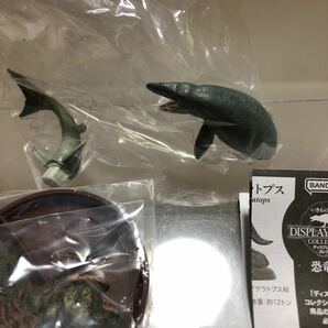 いきもの大図鑑ディスプレイモデルコレクション恐竜01 モササウルスの画像4