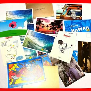 未使用　ハワイ　ショップ　ポストカード　Hawaii 風景　写真　ハイビスカス　Aloha ハイビスカス　はがき　オーストラリア