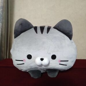 【最終値下げ】猫 モチモチ ぬいぐるみ