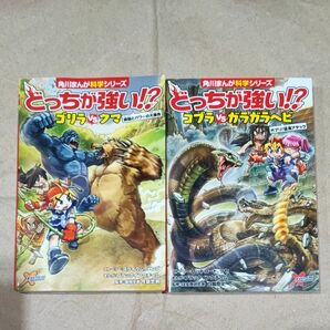 二冊セットどっちが強い！？ゴリラＶＳクマ　コブラVSガラガラヘビ