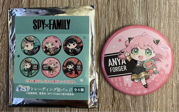 SPY×FAMILY スパイファミリートレーディング缶バッジ 