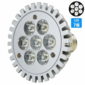 【新品即納】 7LED 白7 7W 口金 E26 水槽 用 スポット ライト 電球 アクアリウム 電球 照明 植物育成 水草 サンゴ 熱帯魚 観賞魚 LED