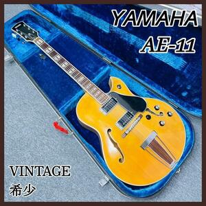 【ヴィンテージ・希少】YAMAHA AE-11　純正ケース付き