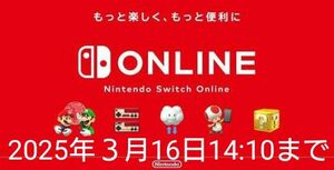 Nintendo Switch Online ニンテンドースイッチオンライン ファミリープラン 12ヶ月