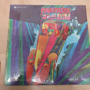 ◇A6892 レコード/LP盤「サード・アヴェニュー・ブルース・バンド 3RD AVENUE BLUES BAND / Fantastic」RS-7213 REVUE RECORDSの画像1