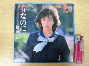 ◇F2311 EPレコード「春なのに , 渚便り / 柏原芳恵」7PL-105 フィリップス EP盤 昭和レトロ アイドル