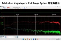 Telefunken ビンテージ録音モニターペア 痺れる高音質　真空管アンプにも最適！_画像10