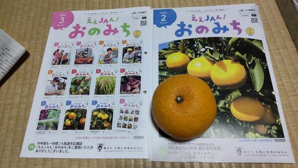 紅八朔１コ、広島県産家庭用無農薬ビタミンＣ 産地直送