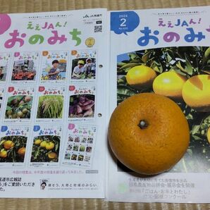 紅八朔１コ、広島県産家庭用無農薬ビタミンＣ 産地直送