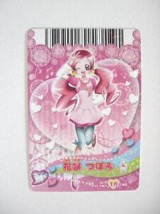 B-757 Heart Catch Pretty Cure Dream Dance 1st Collection 15/46 Hanabaki Tsubomi туника