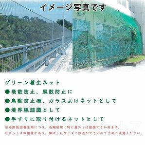 [送料無料] 養生ネット 10m×10m 25mm目合 風散防止 グリーンネット 防護ネット 防獣ネット 安全ネット PPの画像4