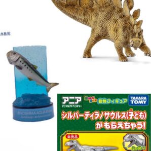 新品未開封 シュライヒ ステゴサウルス 14568 アニア ティラノサウルス 子ども マイワシ 魚ガチャガチャ 3点セット