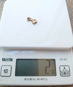 ゴールド 2g　歯科　技工