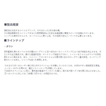 RS-R ダウンサス IS300h AVE30 後期のFスポーツ用 代引送料無料(沖縄・離島除く)_画像2