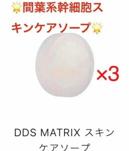 AiRSJAPAN DDSマトリクス専用スキンケアソープ 間葉系幹細胞3個（定価16,500円）新品未開封　即日発送