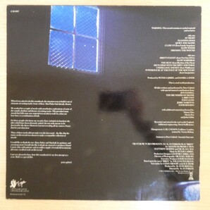 LP5616☆UK/Charisma「Peter Gabriel / Birdy / CAS-1167」の画像2