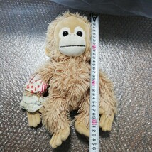 baby coco ぬいぐるみ　ベイビーココ　オラウータン　サル　おさる　ベイビーココ&ナツ_画像2