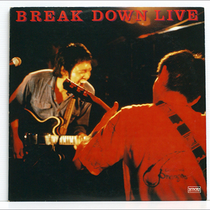 2枚組 LP● ブレイク・ダウン&ブルー・ヘヴン BREAK DOWN & BLUE HEAVEN ライヴ LIVE ( VS-5001,永井隆,吾妻光良,近藤房之助,関西ブルースの画像2