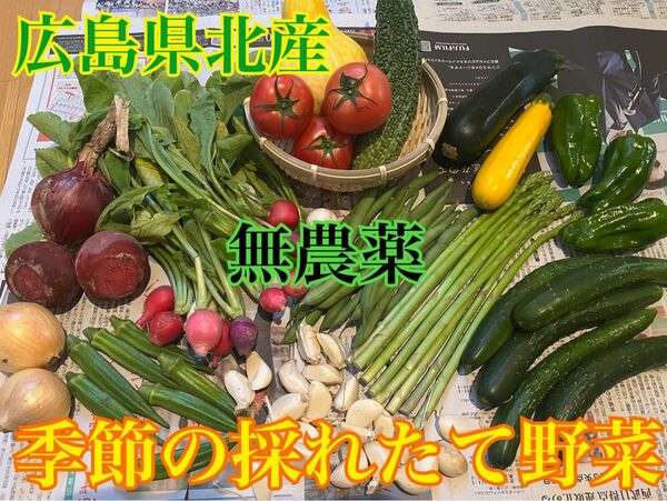 無農薬採れたて野菜セット　大口サイズ