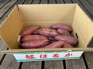 茨城県産 紅はるか 1箱5キロ 農家直送！3月24日をもちまして今シーズンの販売終了となります。
