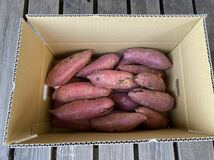 茨城県産 紅はるか 1箱5キロ 農家直送！3月24日をもちまして今シーズンの販売終了となります。_画像2
