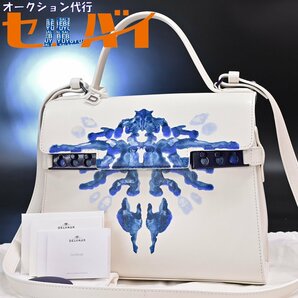 本物 未使用品 デルヴォー 極希少 タンペート 生誕50周年記念限定 Tempte MM Papillon ハンドバッグ ショルダーバッグ 保証書付 DELVAUXの画像1