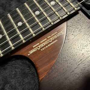 washburn n4 EPNMの画像4