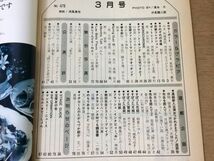 ●K245●宝塚グラフ●1987年3月●涼風真世瀬川佳英奈々央とも郷真由加杜けあき仁科有理春風ひとみ三城礼神奈美帆日向薫平みち●即決_画像4