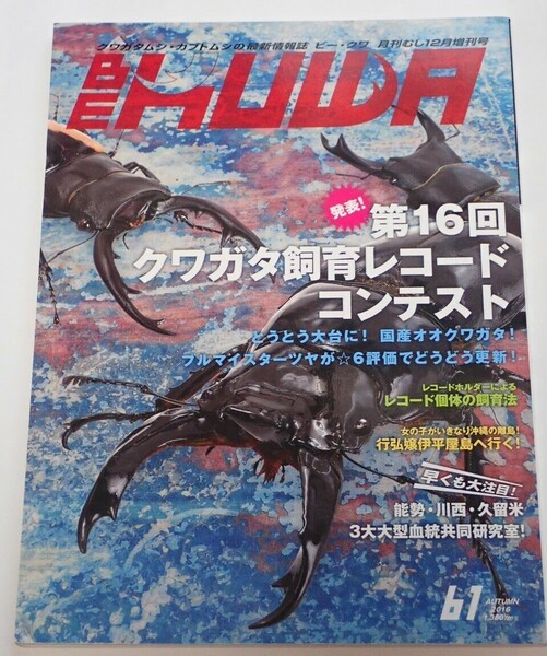 BE KUWA ビークワ No.61■クワガタ飼育レコード｜本土ヒラタ「あかがね」技術レポ／フルストルファーオウゴンオニ飼育／世界のノコギリ飼育