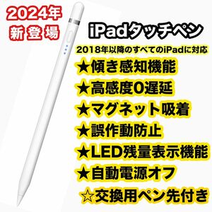 iPadタッチペン 電量表示 極細 超高感度 傾き感知 誤作動防止 磁気吸着 スタイラスペン USB充電式 ペンシル 交換用ペン先