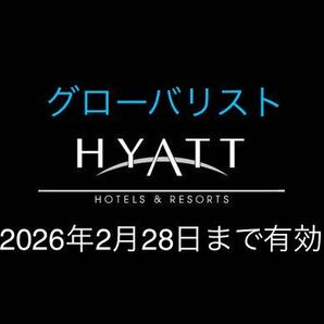 グローバリスト ハイアットhyattの画像1