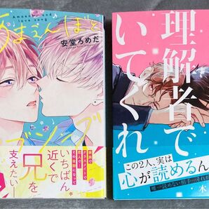 BL漫画 コミック 2冊セット 安堂ろめだ 木山はる
