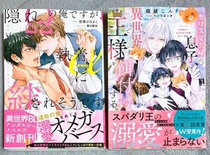 アンダルシュノベルズ　BL小説　2冊セット　空飛ぶひよこ　織緒こん