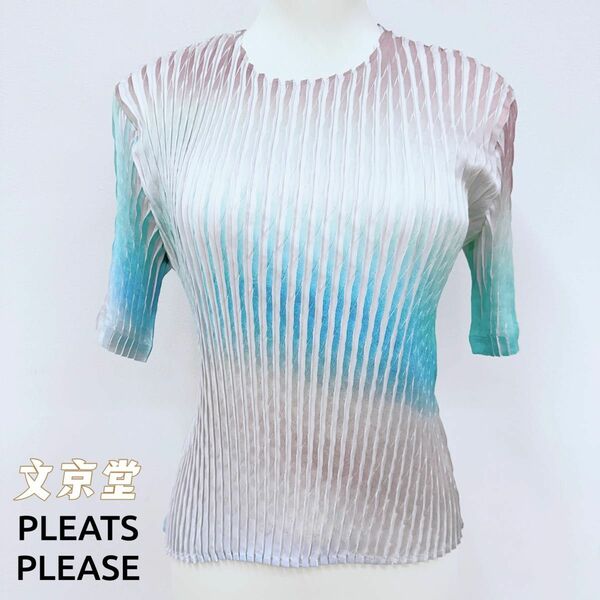 ISSEY MIYAKE SUFFUSED PLEATS 限定色丸首半袖トップス