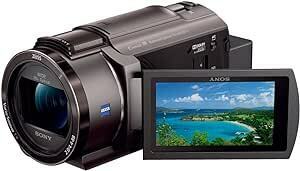 4K ビデオカメラ Handycam FDR-AX45A(2022年モデル) ブロンズブラウン 内蔵メモリー64GB 光学ズーム20倍 空間光学手ブレ補正