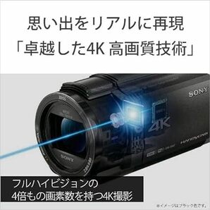 4K ビデオカメラ Handycam FDR-AX45A(2022年モデル) ブロンズブラウン 内蔵メモリー64GB 光学ズーム20倍 空間光学手ブレ補正の画像3