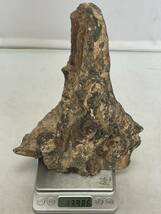 珪化木 木化石 鑑賞石 鉱物標本 飾り石 置物 重量1398.6g_画像6