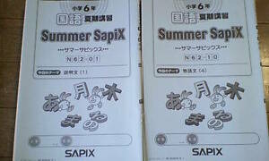 サピックス ＳＡＰＩＸ＊サマー サピックス＊夏期講習＊小６ ６年・国語／全１８回 完全版＊２０１７年