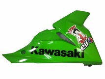 Kawasaki　ニンジャ250SL　BX250A　アンダーカウル　割れなさそう　右　補修　レストア　ＯＨベースにも（中古）2454-L0462_画像1