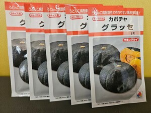 カボチャ種　グラッセ　９粒×5袋　未開封有効期限切れ