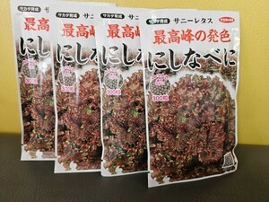 サニーレタス種　にしなべに　300粒×４袋　未開封　有効期限切れ