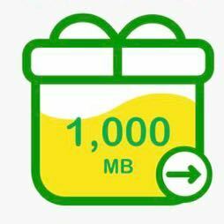 【即決】匿名 1000MB mineo（マイネオ）パケットギフト　約1GB